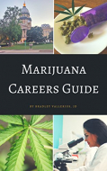 Marijuana Careers Guide: Cannabis Industry Overview and Job Hunting Strategies