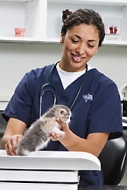 Certified Animal Care Worker (CACW)