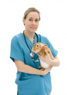 Veterinary Office Assistant Certification (CVOA)