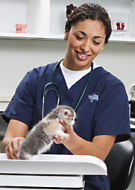 Certified Animal Care Worker (CACW)